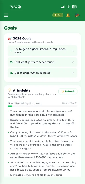 HoselRocket's goals screen: a player's season goals and AI insights drawn from their coaching chats